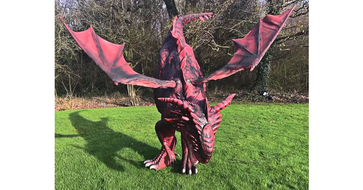 Dreygo the Dragon is visiting Gloucester this weekend.
