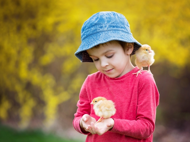 Meet Peppa Pig, go on an egg trail and watch the pig racing at Cattle Country Adventure Farm Park this Easter.