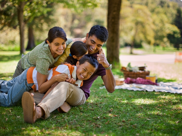 FestivALL launch at Stratford Park