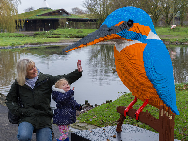 Slimbridge's ever-popular LEGO Brick Animals are making a return this October half term 2020.