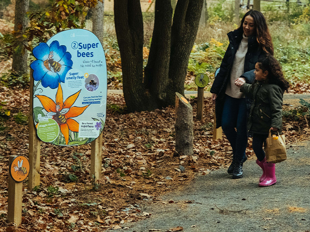 The new, self-led Superworm trail is launching at Westonbirt Arboretum this February half term 2022.