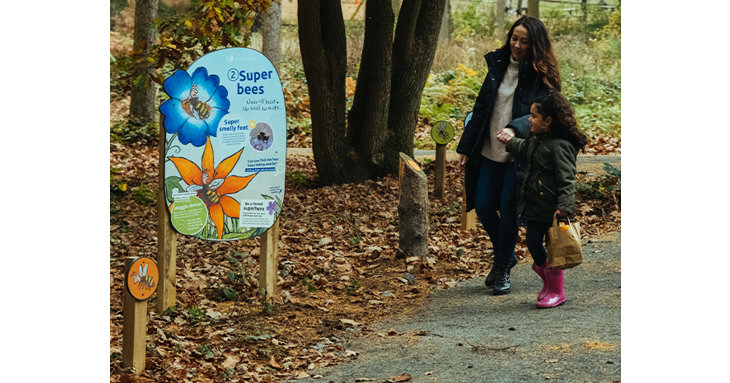 The new, self-led Superworm trail is launching at Westonbirt Arboretum this February half term 2022.