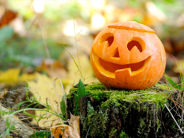 Carve pumpkins and meet wicked witches at Dean Heritage Centre, this Halloween half term 2021.