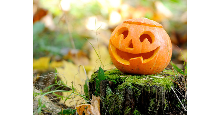 Carve pumpkins and meet wicked witches at Dean Heritage Centre, this Halloween half term 2021.