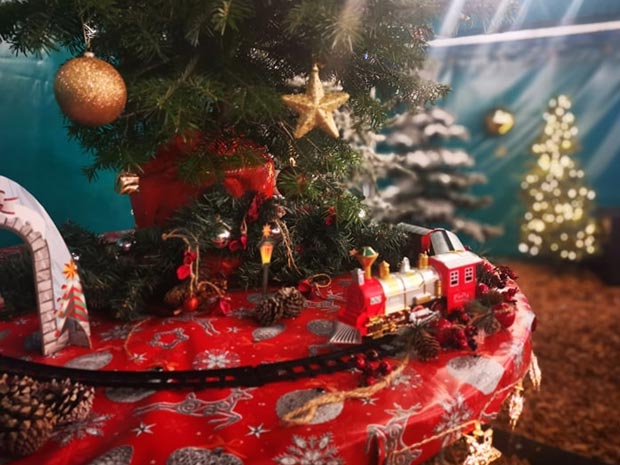 Christmas on the Farm at Cotswold Farm Park 2019.