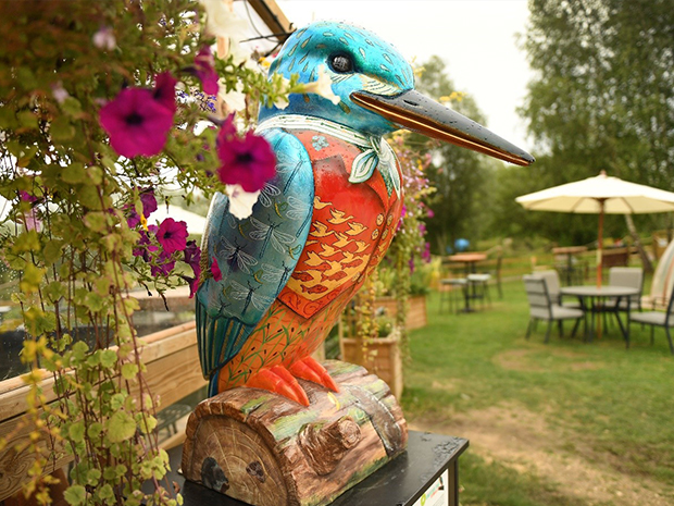 Cotswolds Kingfishers are coming up for auction