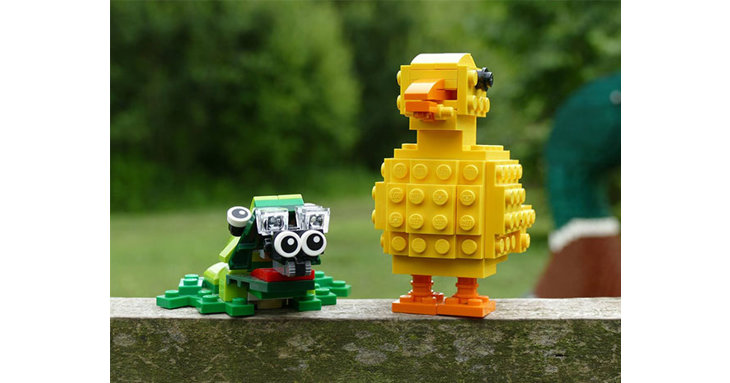 Put your skills to the test and head to Slimbridge Wetland Centre's LEGO Brick Workshops.