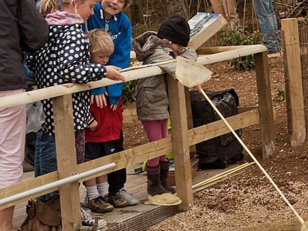 Celebrate all things wild at Cotswold Farm Parks Nature Week this May half term 2020.