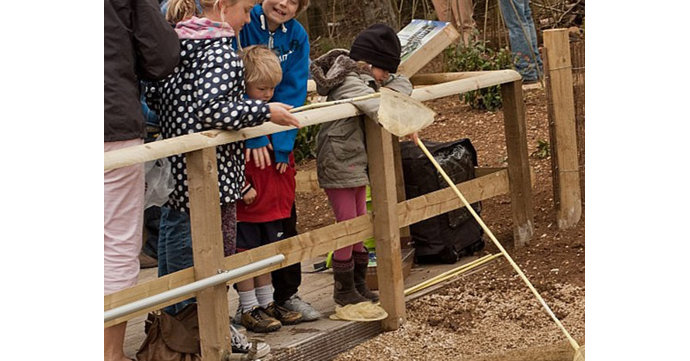 Nature Week at Cotswold Farm Park 