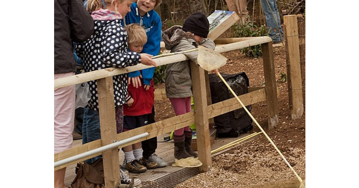 Celebrate all things wild at Cotswold Farm Parks Nature Week this May half term 2020.