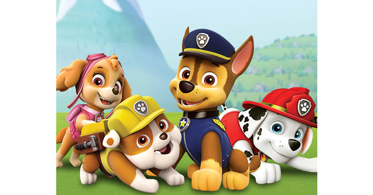 Cheltenham Racecourse will host Paw Patrol Live! Race to the Rescue in August 2022.