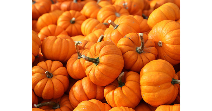 Enjoy a pumpkin-themed celebrate at Dean Heritage Centre this October.