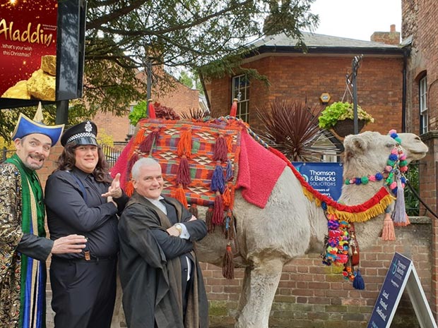 Kokoso the camel appeared in Aladdin alongside Will Smith.