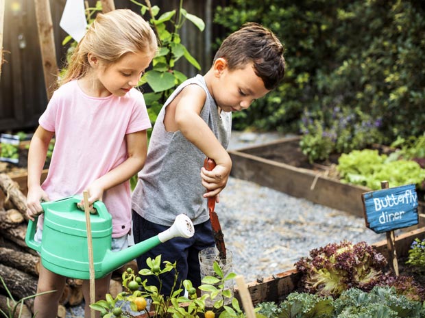 Schools invited to get green-fingered with RHS Malvern Spring Festival School Challenge 