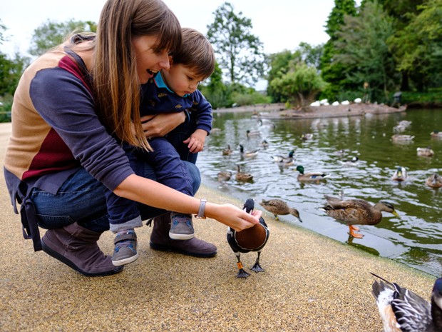 Slimbridge Wetland Centre will be closed for nine days in October 2019.