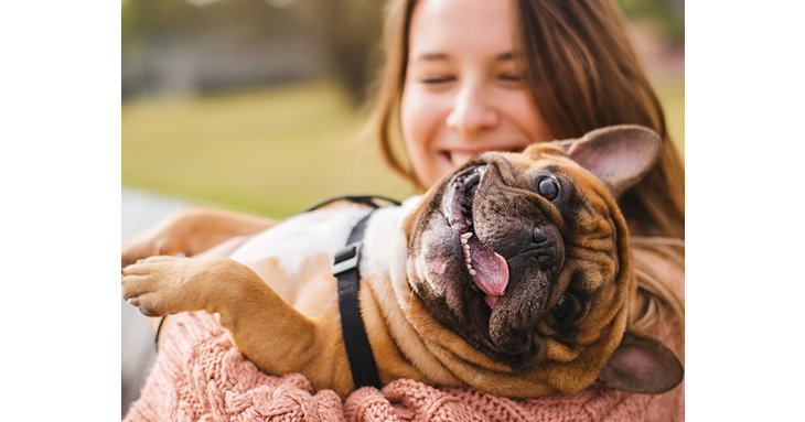Stroud has been revealed as the most pet-friendly place to live in the south west, according to WeBuyAnyHome.