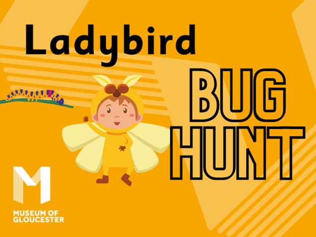 The Creepy Crawl: Bug Hunt at the Museum of Gloucester