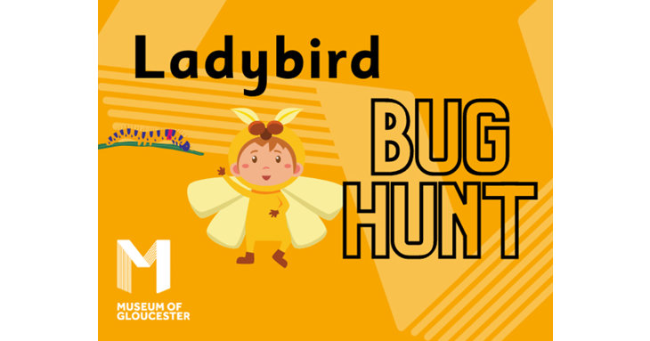 The Museum of Gloucester is hosting a series of Ladybird-themed events as part of its new exhibition this summer 2021, including The Creepy Crawl Bug Hunt.