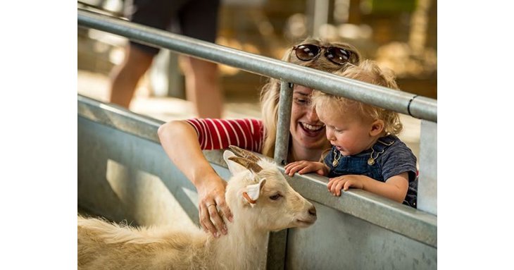 Pre-schoolers can enjoy a free day out at Cotswold Farm Park's Toddler Tuesdays.