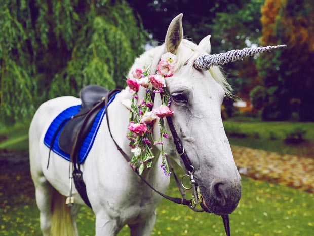 Experience the magic of Unicorn Weekend at Cattle Country this September.