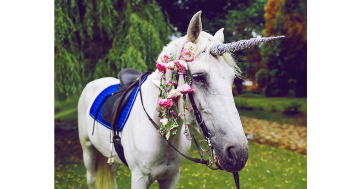 Experience the magic of Unicorn Weekend at Cattle Country this September.