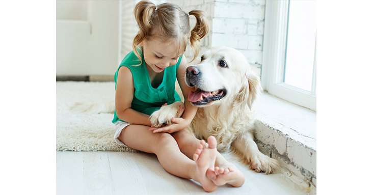 Learn how to make dog biscuits and pet toys at home with Cheltenham Animal Shelter this February half term.