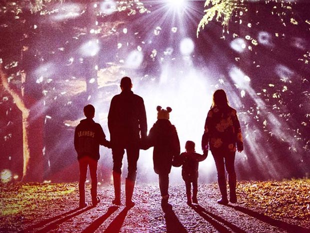 Westonbirt Arboretum launches relaxed sessions for Christmas