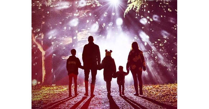 Westonbirt Arboretum launches relaxed sessions for Christmas
