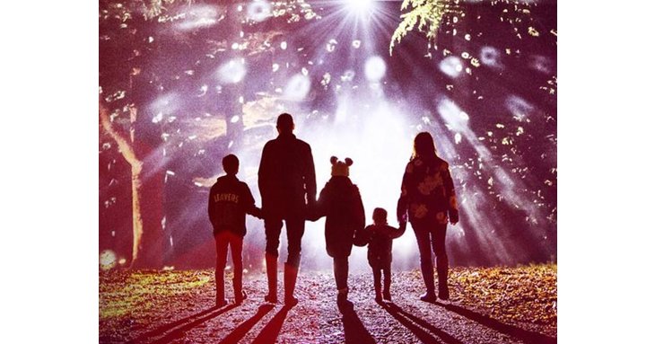 Westonbirts Enchanted Christmas has become more accessible for 2019.