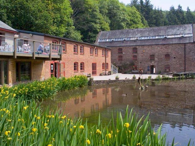 Win a family season pass to Dean Heritage Centre in the Forest of Dean.