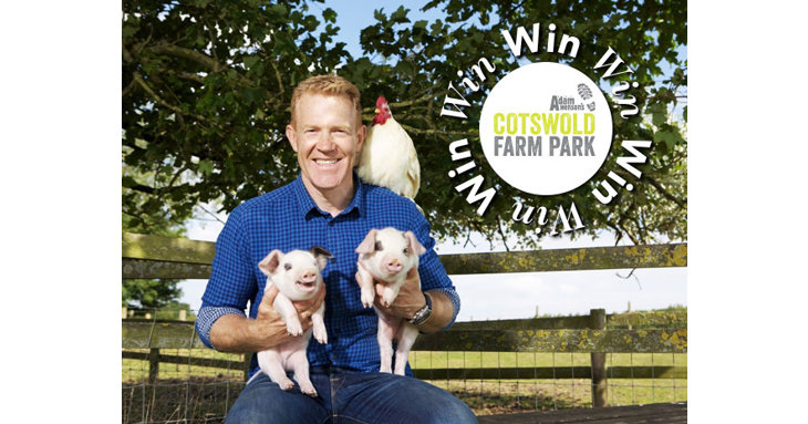 Win an annual membership to Cotswold Farm Park for unlimited family days out in 2021.