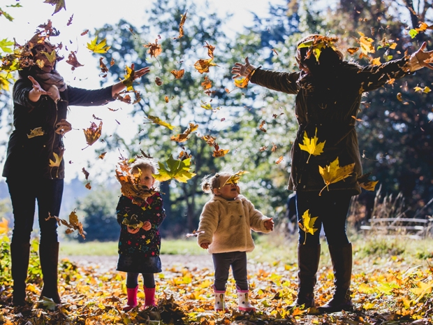 Autumn trail at Westonbirt Arboretum 