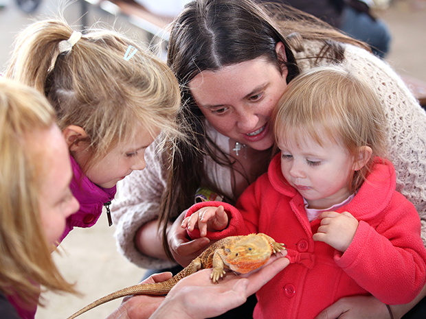 Wild Weekends at Over Farm