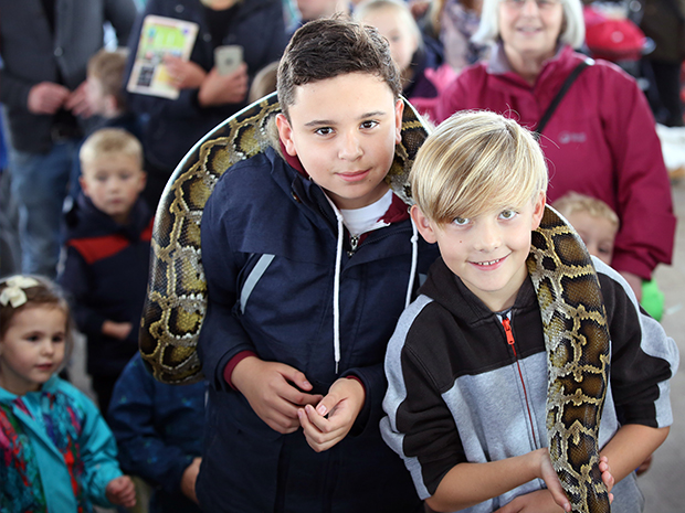 Enjoy some Wild Weekends at Over Farm near Gloucester this spring. Children can meet a whole host of exotic creatures, alongside the resident farm animals.