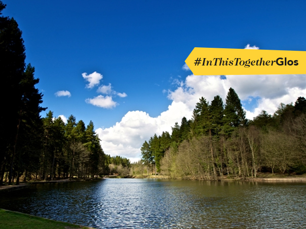 Forestry England keeps woods and forests open during Coronavirus crisis