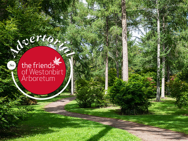 Westonbirt Arboretum is one of Gloucestershires best-loved attractions and you can help support it.