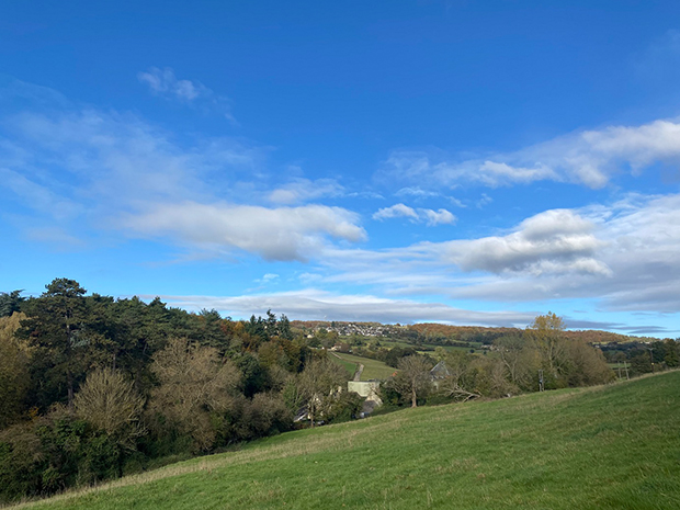 A new woodland with over 1,000 trees is being planted in Stroud