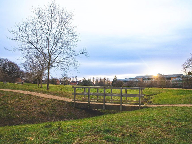 A new wildlife haven is being created in Bishop's Cleeve
