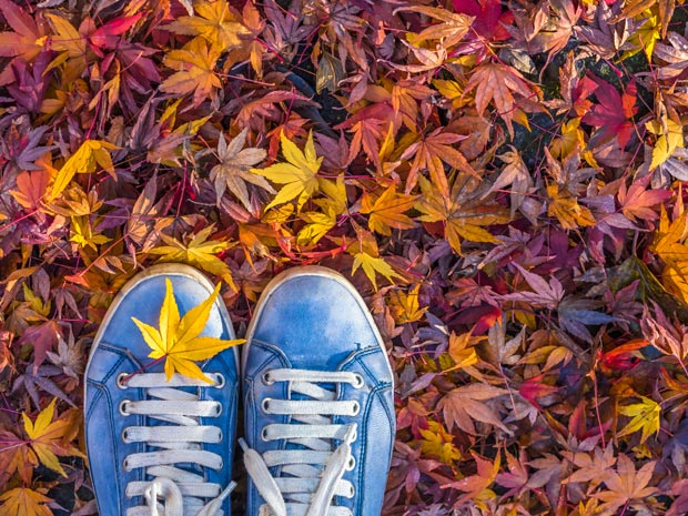 Get ready to kick up some leaves at Highgrove Gardens this autumn.