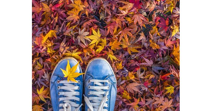 Autumn walk and lunch at Highgrove Gardens