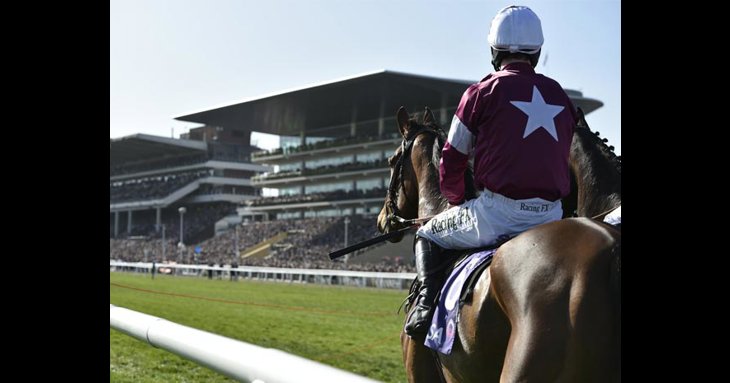 The official Cheltenham Festival Preview Night is being live streamed online, this March 2021.