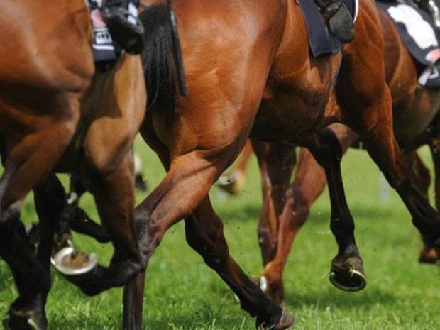 Ask the experts all about Cheltenham Festival at The Kings Head Hotel's preview night.