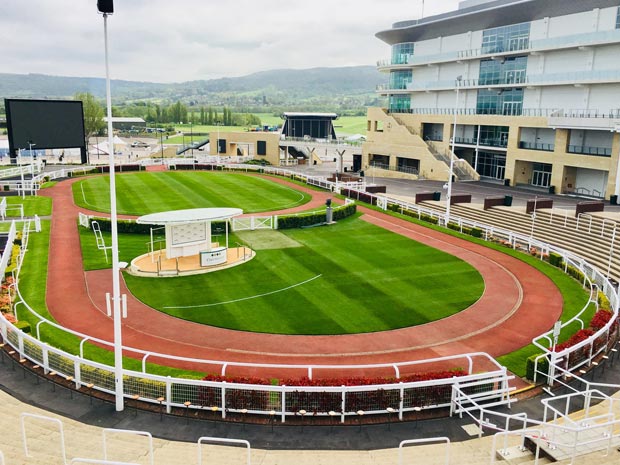 Visitors on the Sunday at The November Meeting can expect to see parades, an aerial display and much, much more at Cheltenham Racecourse.