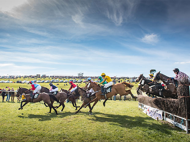 Enjoy sporting entertainment at Gloucester Races this May.