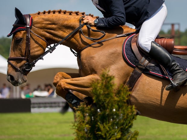 Hartpury Showjumping Spectacular
