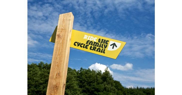 The nine-mile Family Cycle Trail is a popular route with bike riders, offering a fantastic way to explore the Forest of Dean on two wheels.