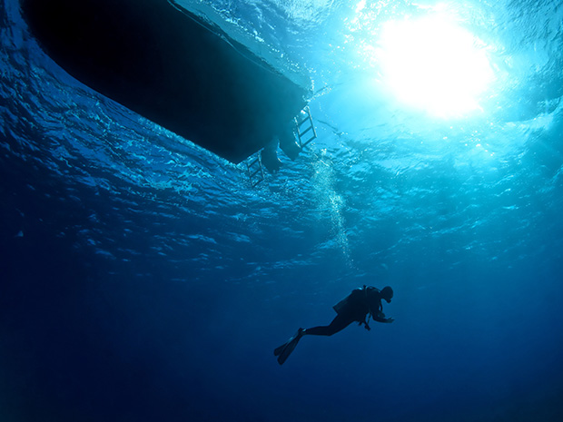 The National Diving and Activity Centre is closing for good