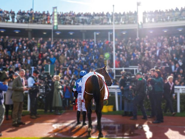 Win tickets to New Year's Day racing at Cheltenham Racecourse in this competition.