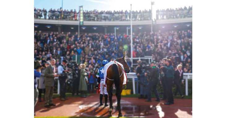 Win tickets to New Year's Day racing at Cheltenham Racecourse in this competition.