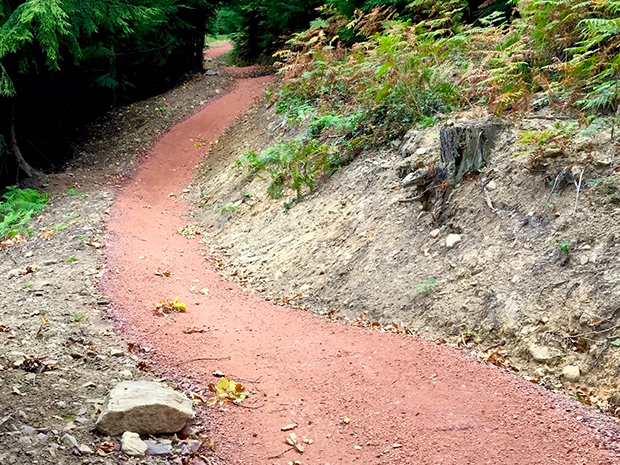 Forestry England upgrades Forest of Dean bike trails